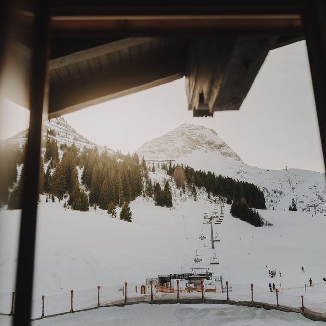 Spécial clôture d'hiver