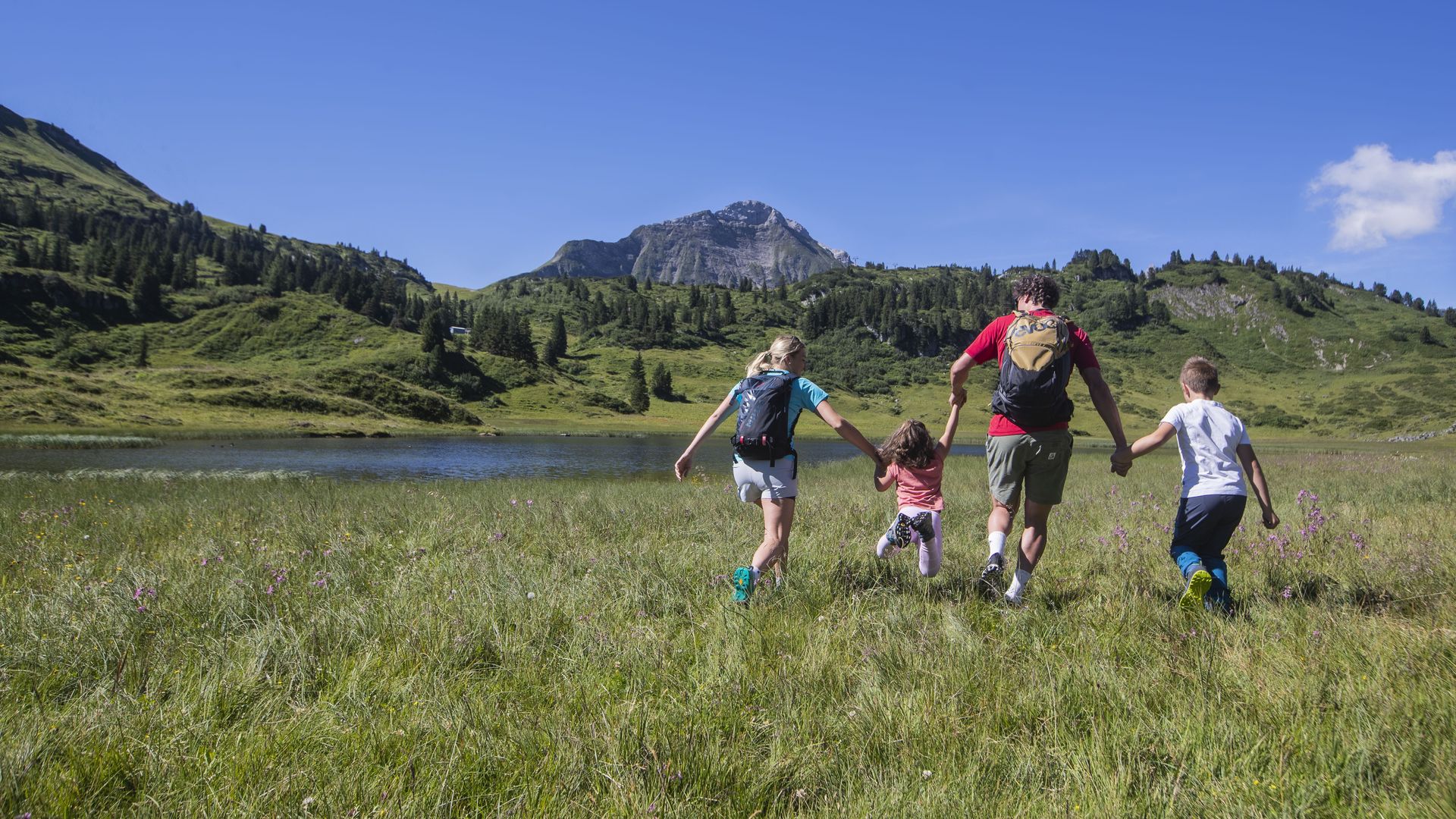 Family hit for the summer (1/6)