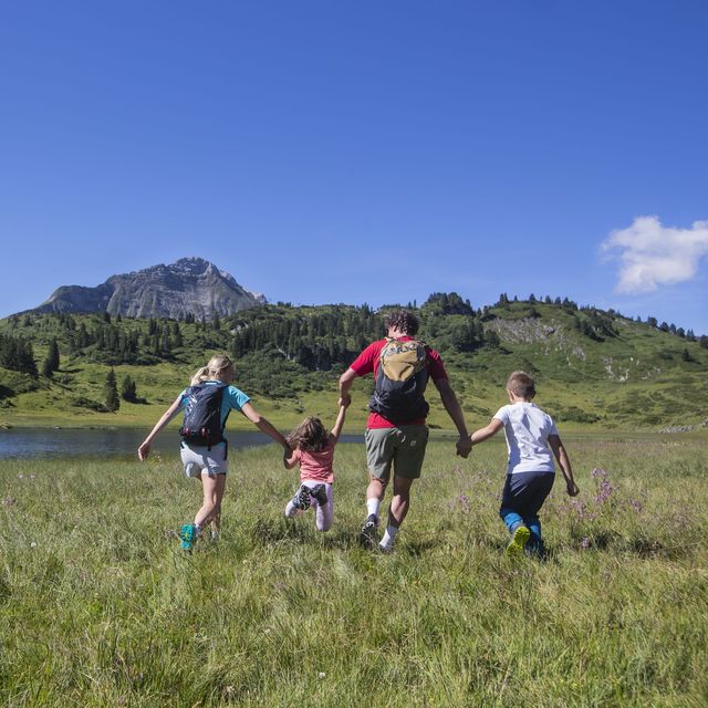 Family hit for the summer