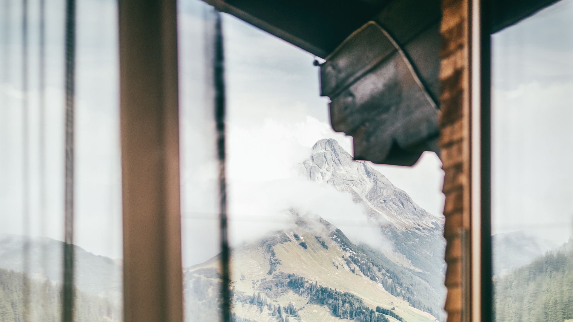 Veeh-Harfen Workshop Sommer (2/6)