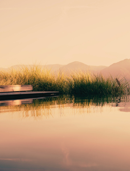 Angebot: Herbstzeit im Geniessermonat - Aktionstage - Erika