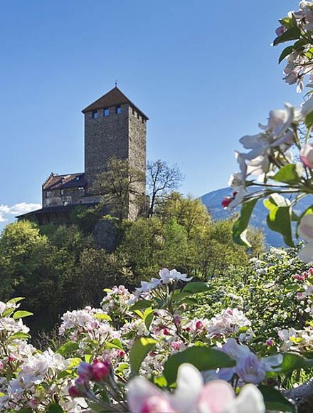 Offer: Spring vacation days in South Tyrol - Erika