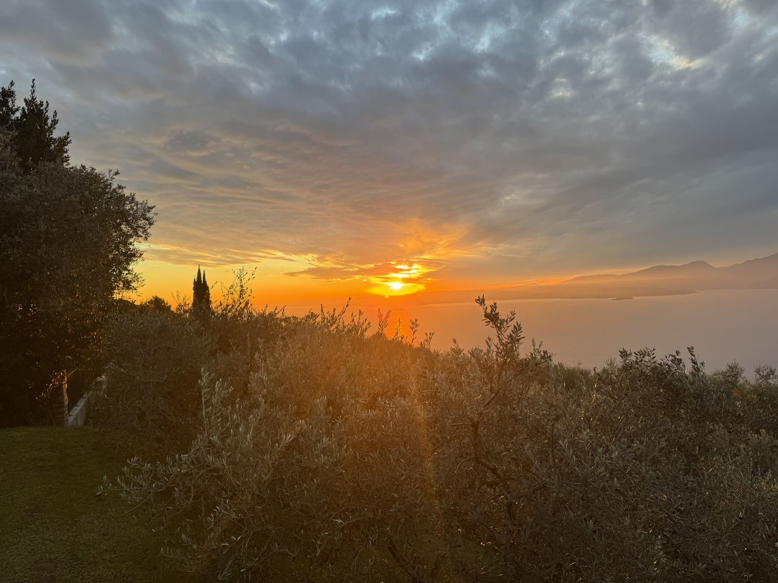 Erika Olivenhain am Gardasee im Sonnenuntergang
