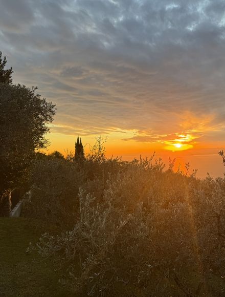 Angebot: Italienische Woche "bella italia" - Erika