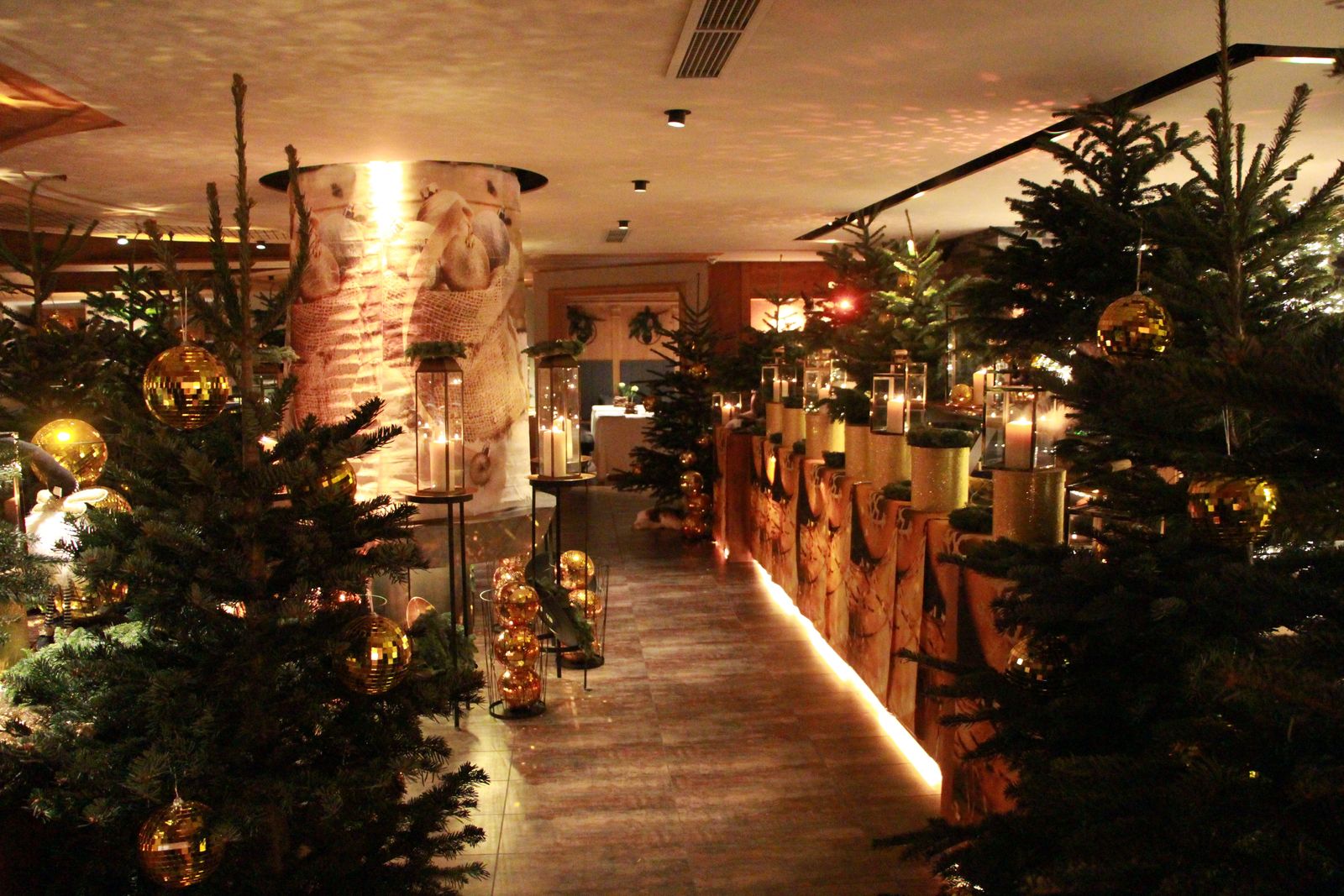 Weihnachtswald im Genusshotel Südtirol