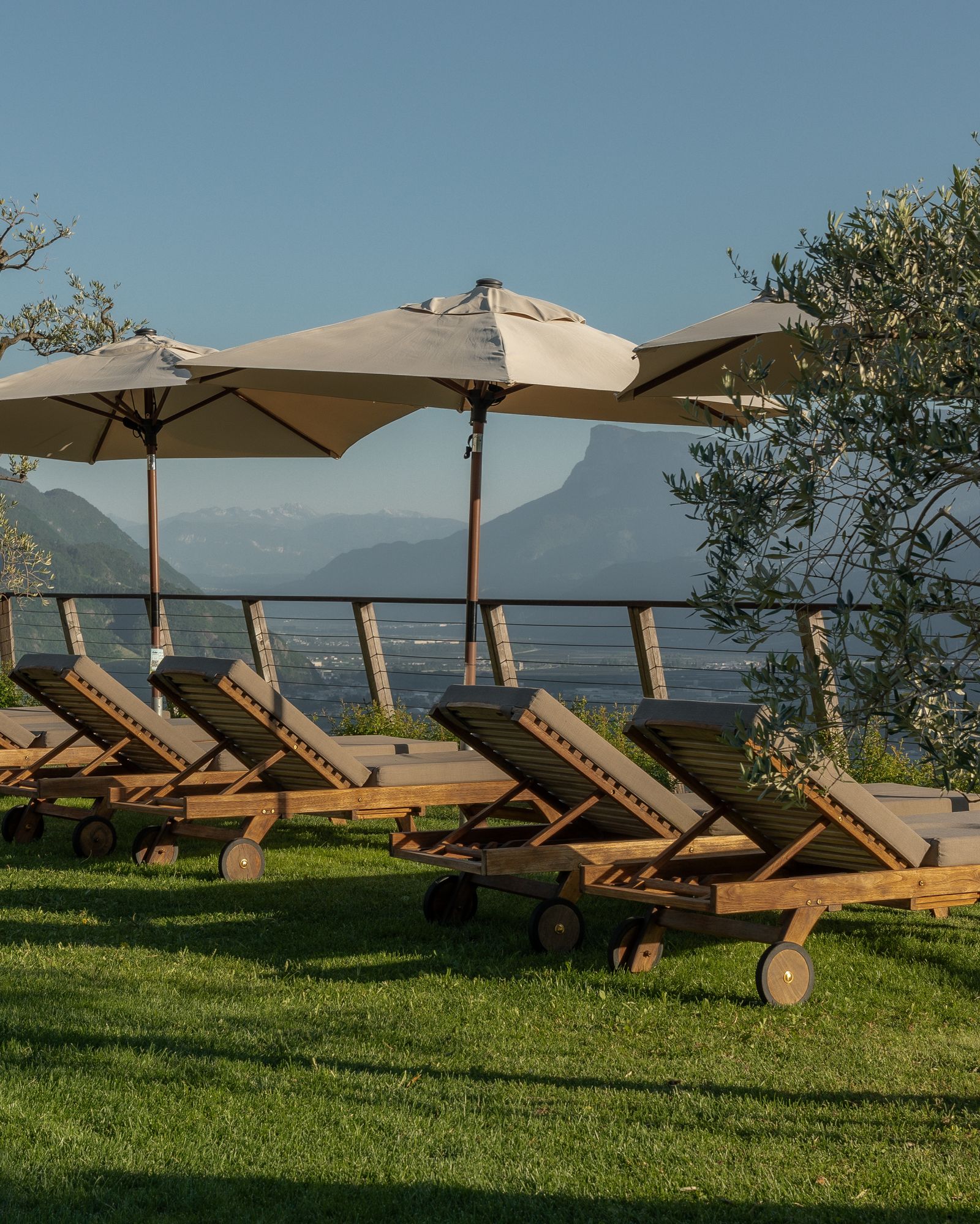 Golden Hour im Erika-Garten mit Blick auf Meran