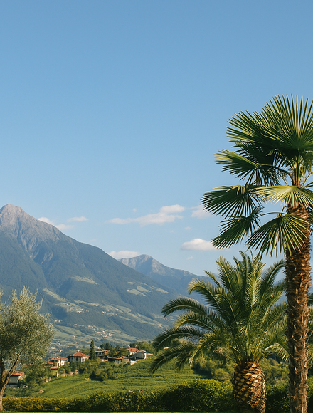 Angebot: Sommerglück  – zwischen Bergen & mediterraner Leichtigkeit - Erika