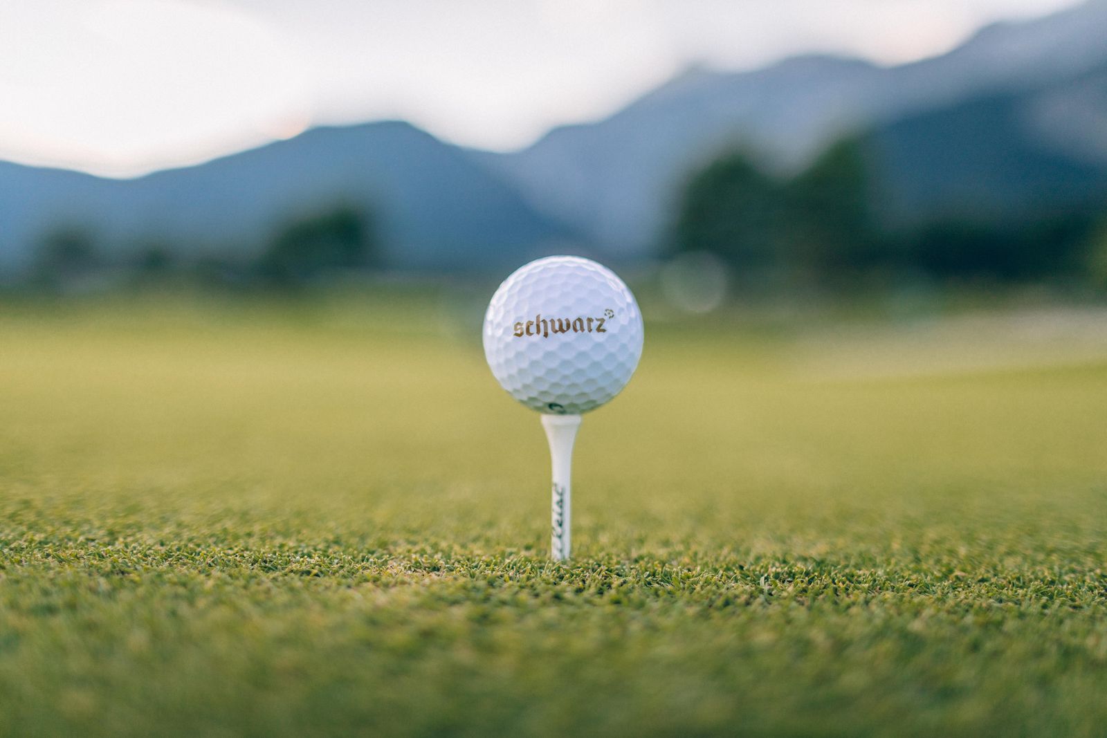 Golf Safariwoche  image 1 - Alpenresort Schwarz