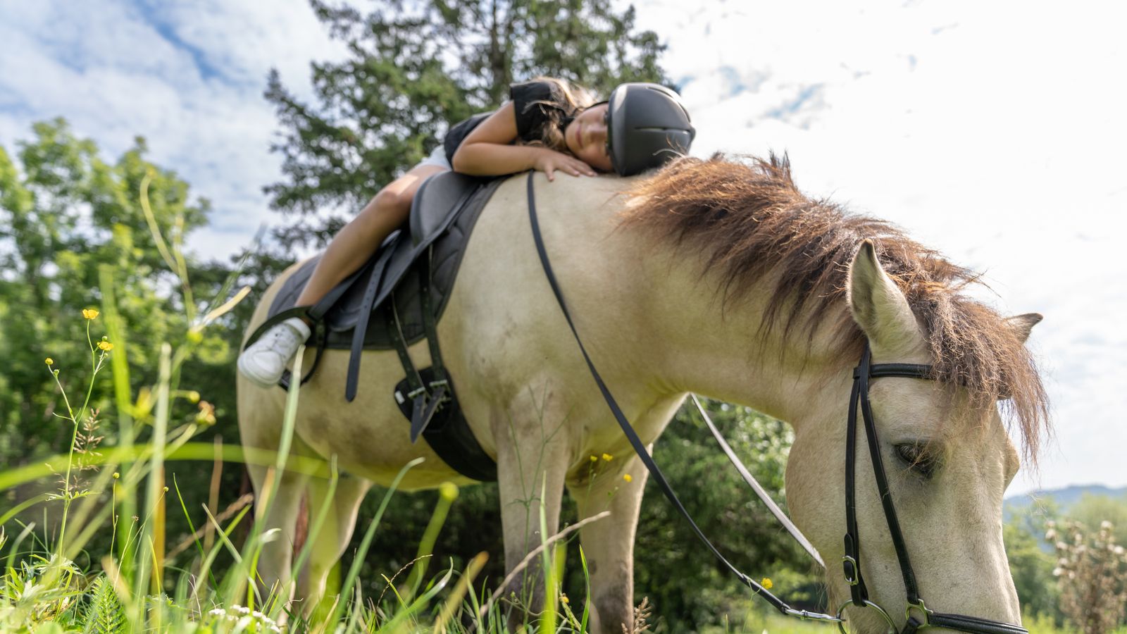 image #8 - Waldhof Fuschlsee Resort