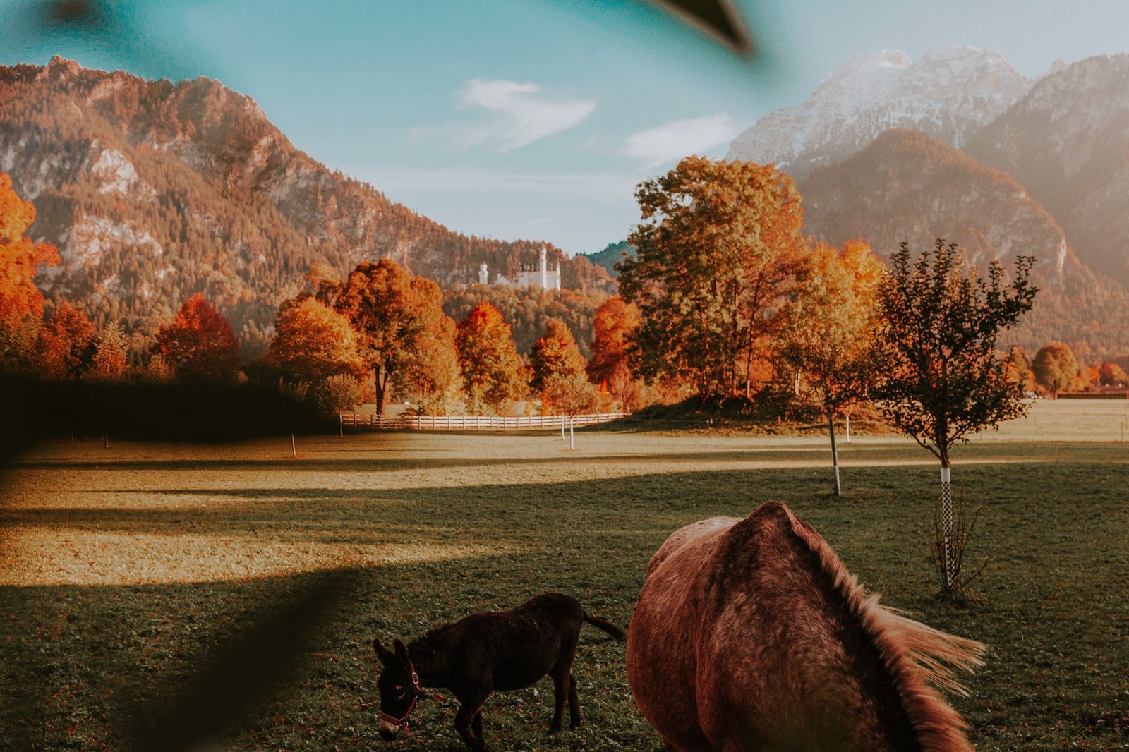 Neuschwanstein Special image 2 - Hotel Das Rübezahl