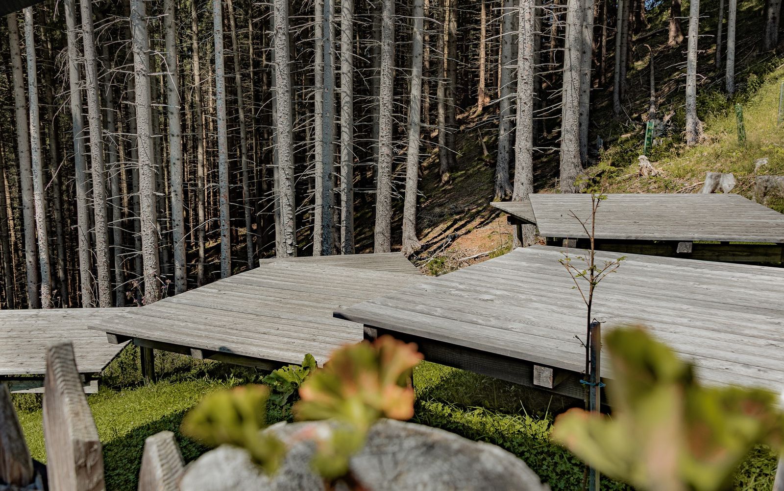 © Christian Greither, Tourismusverband Ostallgäu e. V.