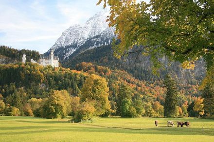 Offer: Autumn in the Alps with castle view - Das Rübezahl