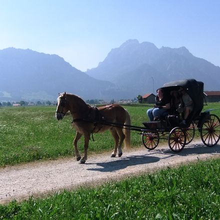 Romantic Horse-Drawn Carriage - Das Rübezahl