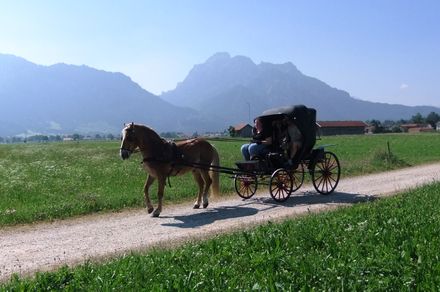 Passeio romântico de carruagem