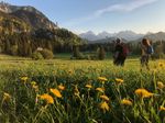 Frühlingserwachen im Allgäu