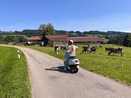 Unsere Empfehlung: 2 Vespas für Paare (ab 01.08.2025)