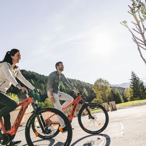 Traumhotel Alpina-image-8