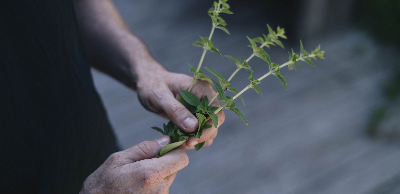 Waldklause : Kurze Auszeit vor Ostern
