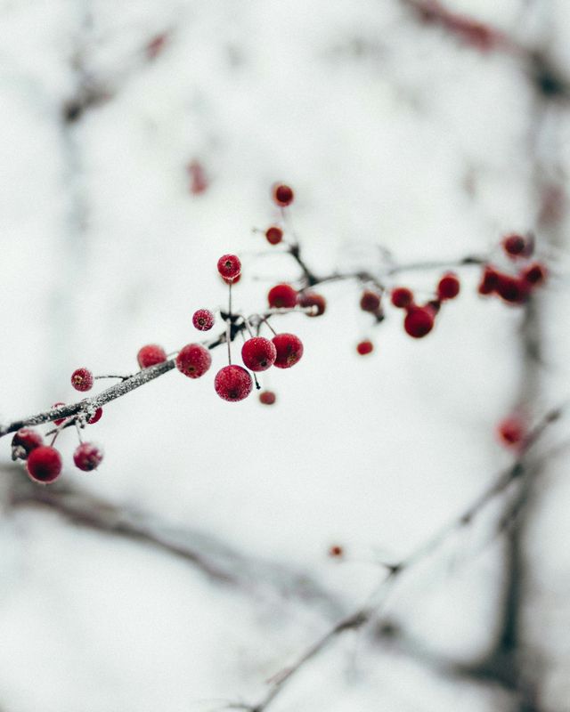 Ein guter Start ins neue Jahr