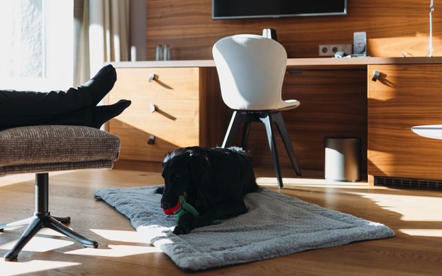 Hund - Rosenalp Gesundheitsresort & SPA