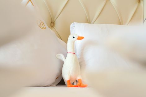 Ferienhighlights für Alleinreisende