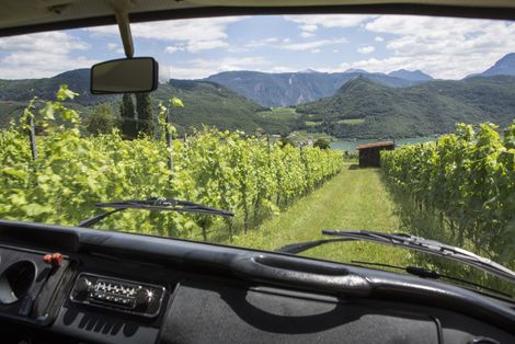 Vinum Classic Südtirol vom 12.-15.10.2017