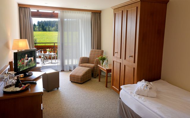 Single room with balcony image 1 - Hotel Grüner Wald ****s