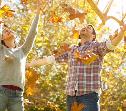 Angebot: Kürbisduft und Kuschelzeit - Hotel Grüner Wald ****s