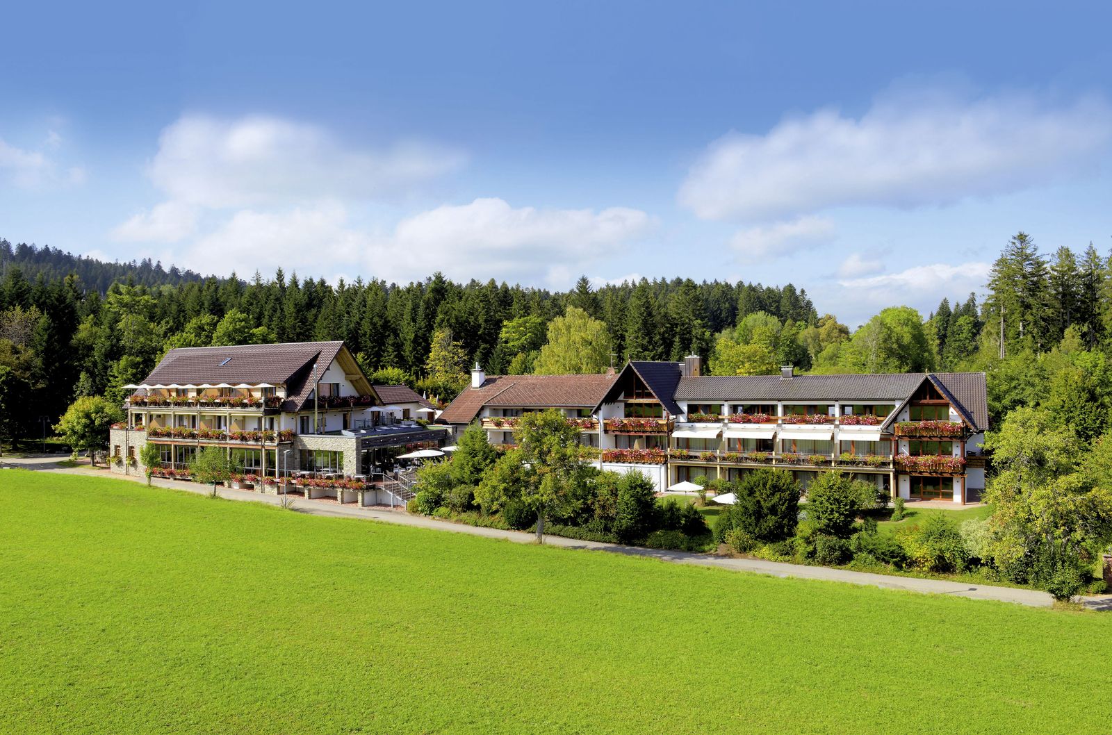 Stammgästewoche image 1 - Hotel Grüner Wald ****s