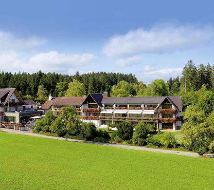 Angebot: Stammgästewoche - Hotel Grüner Wald ****s
