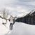 Alpine Winter Paradise 
