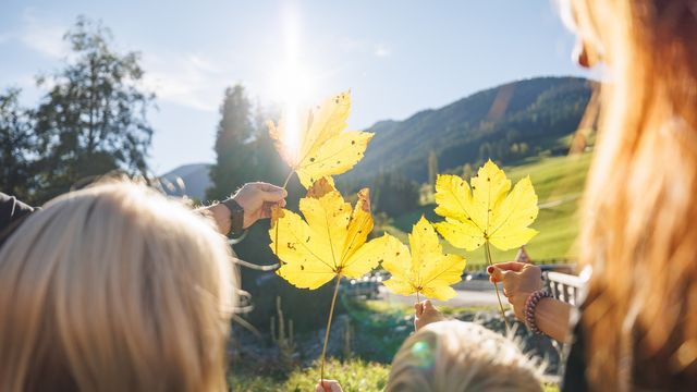 Family Herbst Special