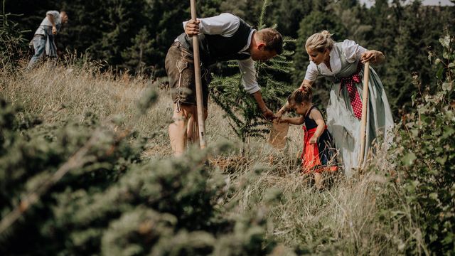 Baumpatenschaft waldLIEBE