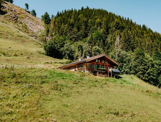 Hotel Room: Alpine hut "Thoman Alm" - Forsthofgut
