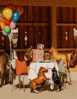 Offer: Colorful pony birthday - Forsthofgut