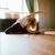 Pure Balance Yoga-Retreat mit Christina Hoffer