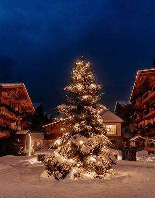 Angebot: Vorfreude auf Weihnachten - Forsthofgut