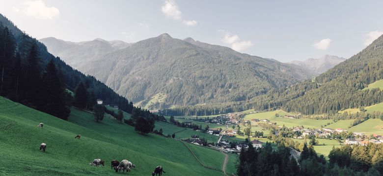 Luxury Hideaway & Spa Retreat Alpenpalace: Goldener Herbst im Ahrntal
