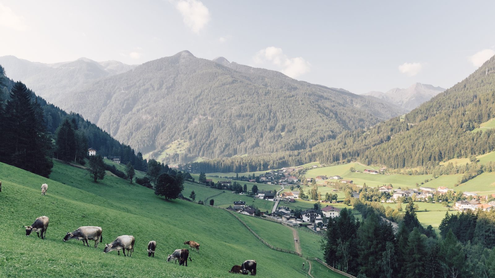 image #6 - Luxury Hideaway & Spa Retreat Alpenpalace