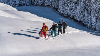 Snow-Shoe Hiking in Tuxertal