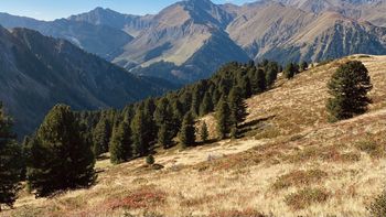 Golden mountain autumn