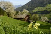 Frühlingstraumtage: 4 für 3 – Länger relaxen, mehr genießen! | 4=3