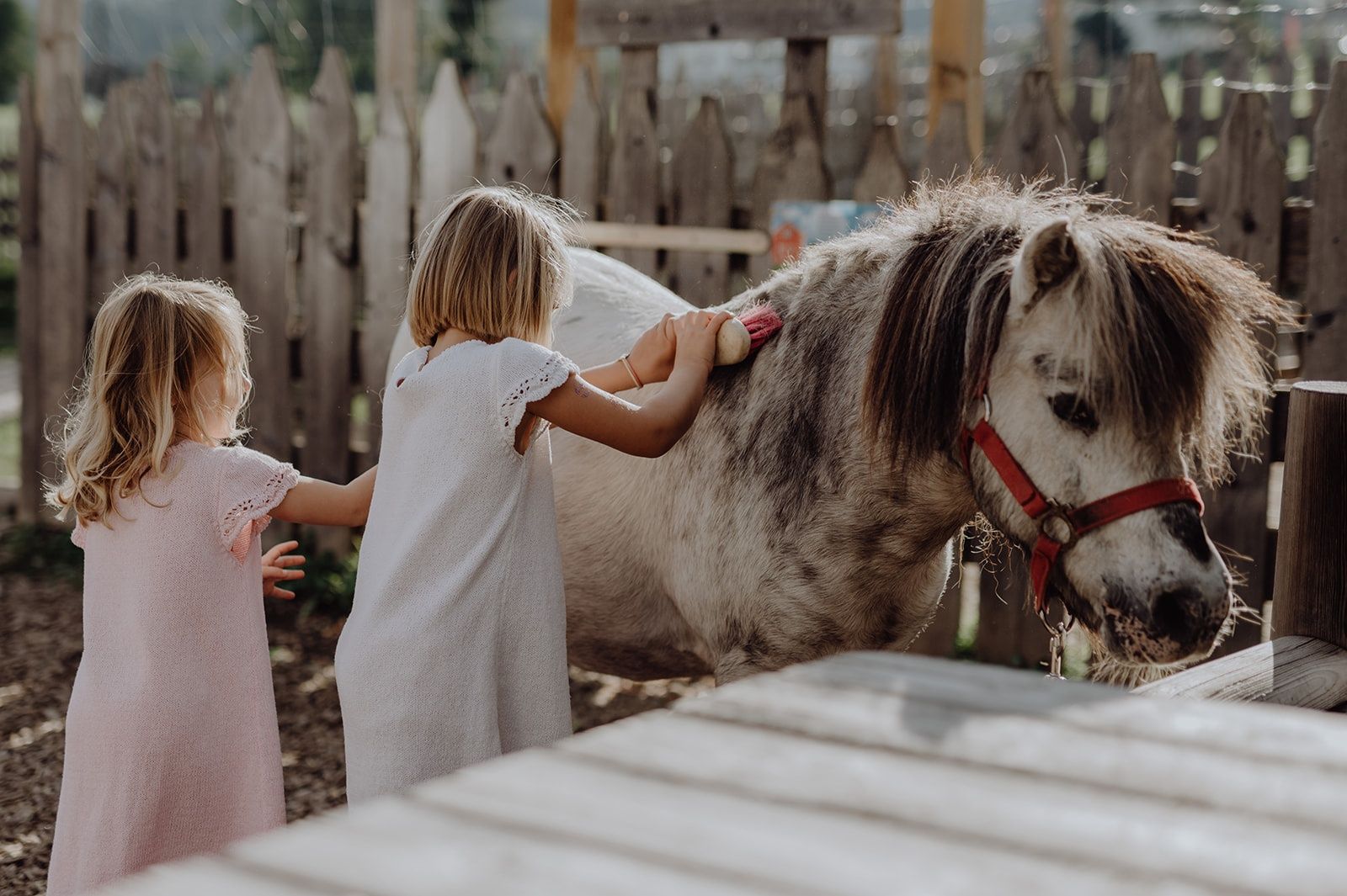 Family Herbst 2026 image 1 - Mia Alpina