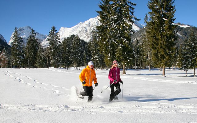 Winterwandern & Wellness - 4 Nächte