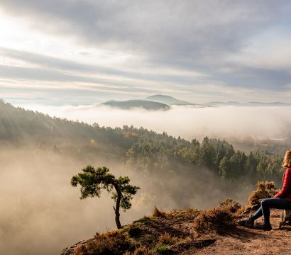 PFALZBLICK WALD SPA RESORT: Ressourcen zur Stressresilienz: Fasten, Ernährung, Bewegung und Entspannung