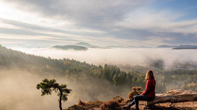 Ressourcen zur Stressresilienz: Fasten, Ernährung, Bewegung und Entspannung - 