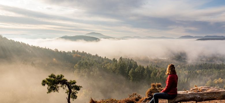 PFALZBLICK WALD SPA RESORT: Ressourcen zur Stressresilienz: Fasten, Ernährung, Bewegung und Entspannung