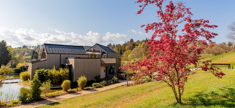 PFALZBLICK WALD SPA RESORT: XXL-Wochenende