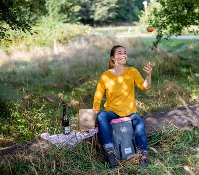 Offer: Midweek break - PFALZBLICK WALD SPA RESORT