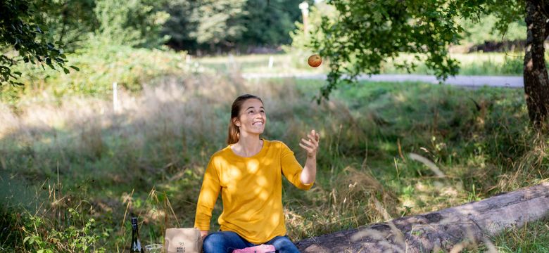 PFALZBLICK WALD SPA RESORT: Midweek break